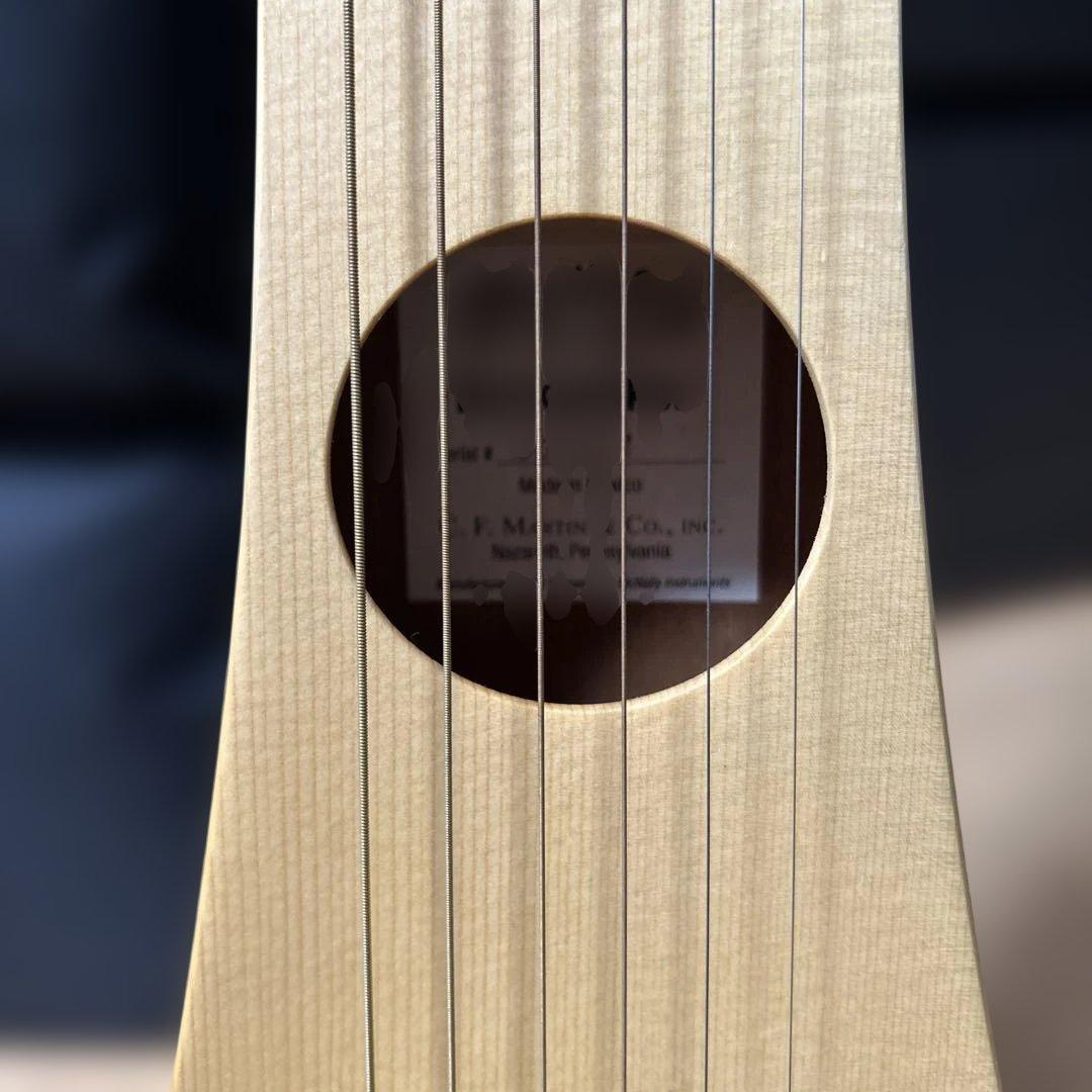 Martin & Co. バックパックギター