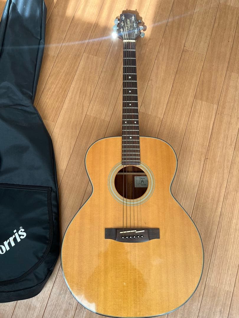 Acoustic ギター Takamine TSA500