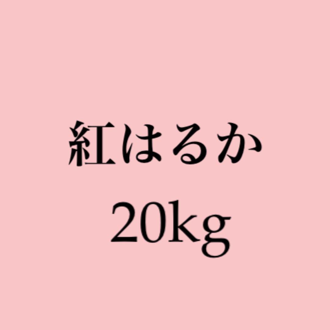 鹿児島県産さつまいも《紅はるか》20kg