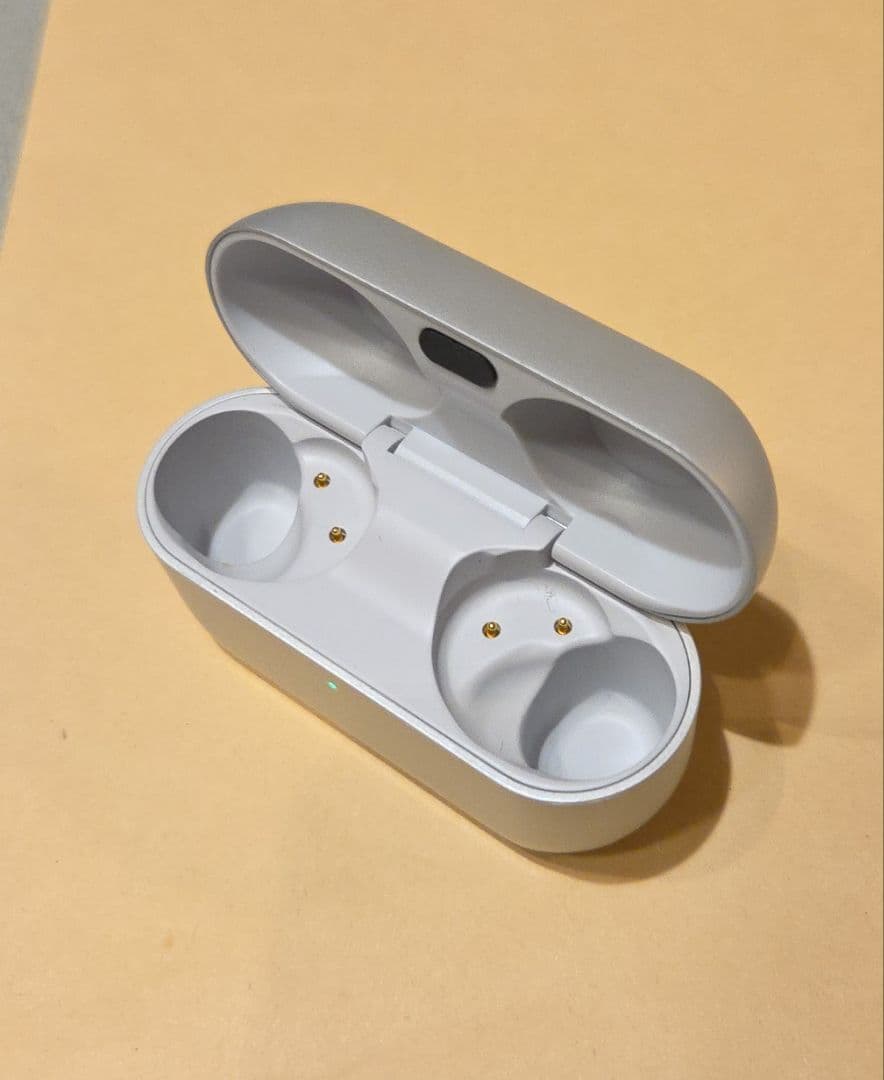 Technics EAH-AZ100 シルバー　充電ケース