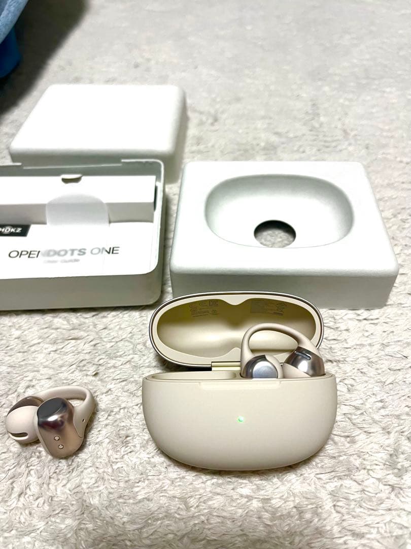 Shokz OpenDots ONE SKZ-EP-000053 グレー