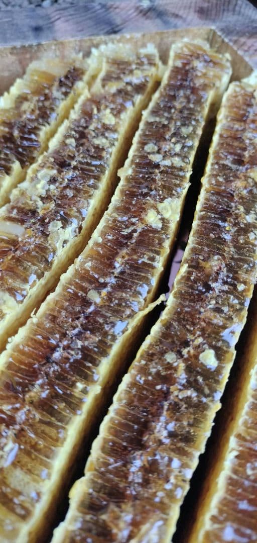 天然物！日本蜜蜂の巣蜜