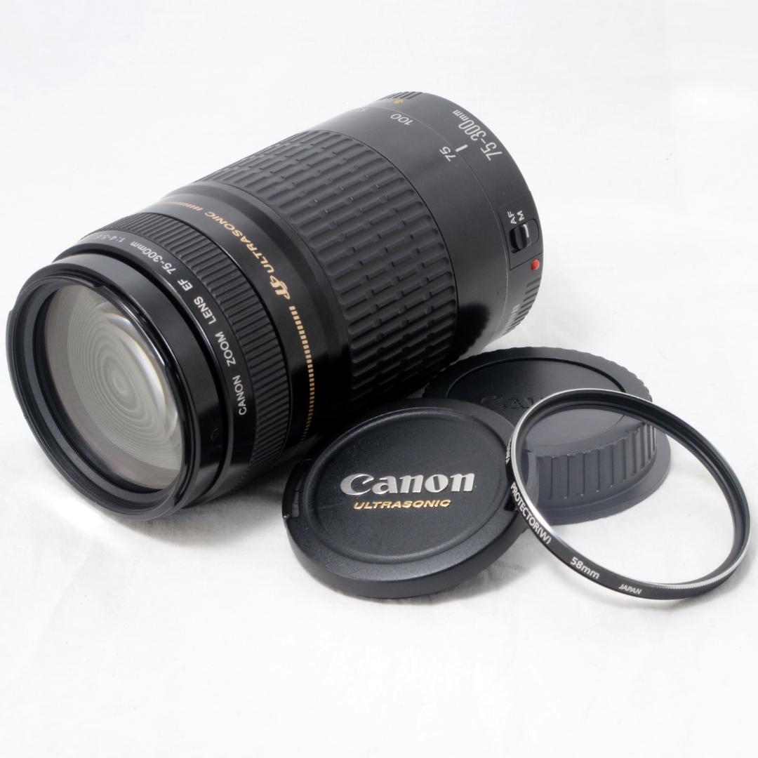 ⭐️良品⭐️Canon キャノン EF 75-300mm F4-5.6 USM