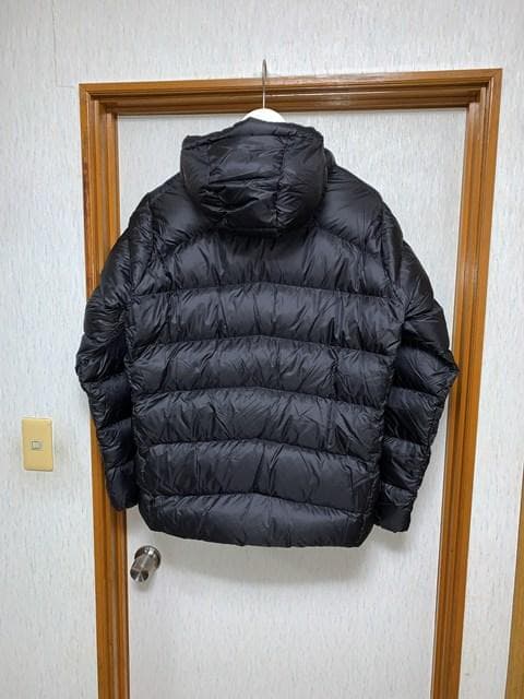 L 新品 FA25 patagonia メンズ・フィッツロイ・ダウン・フーディ