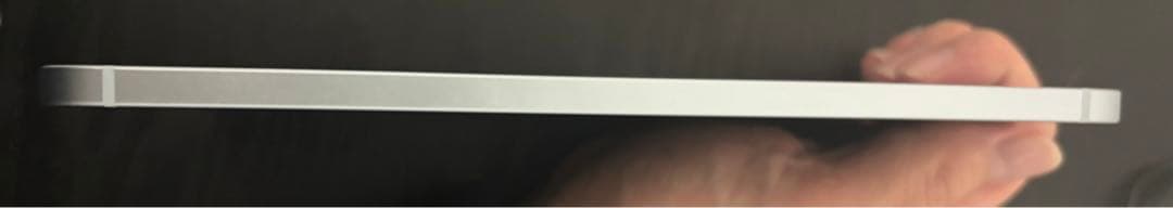 Apple iPad mini 第7世代256GB セルラー 本体 ブルー