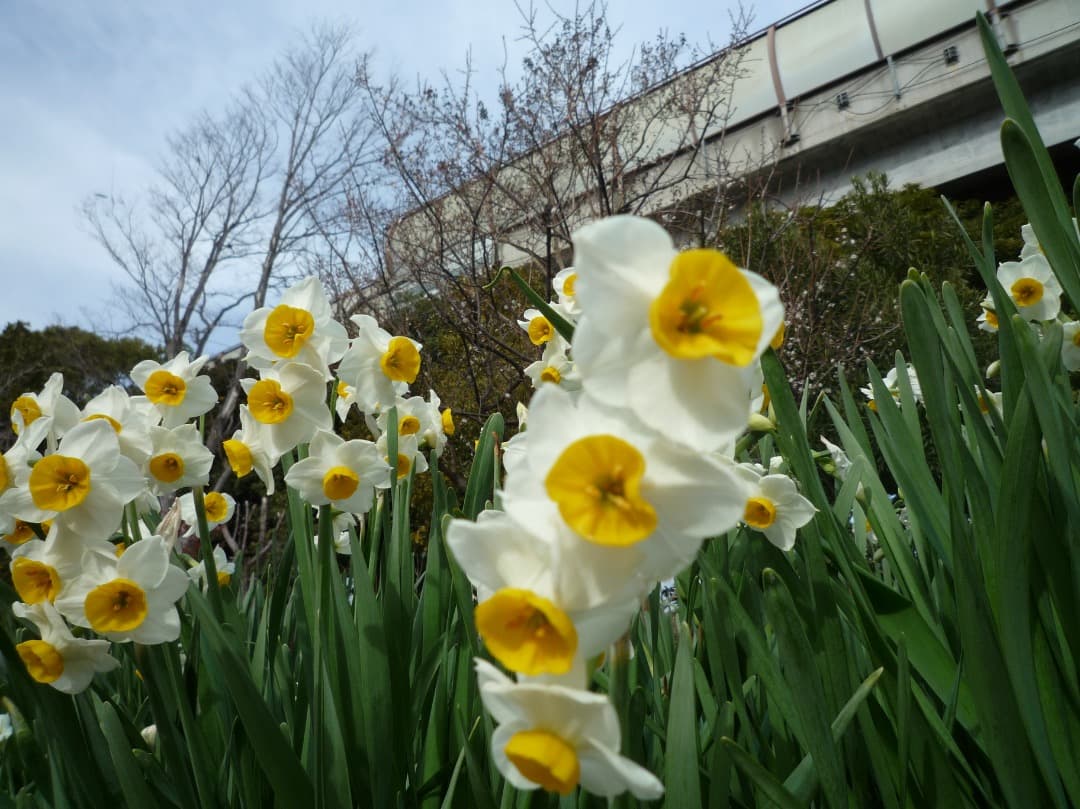 実写美⭕️【動作確認済】Panasonic LUMIX DMC-FX37