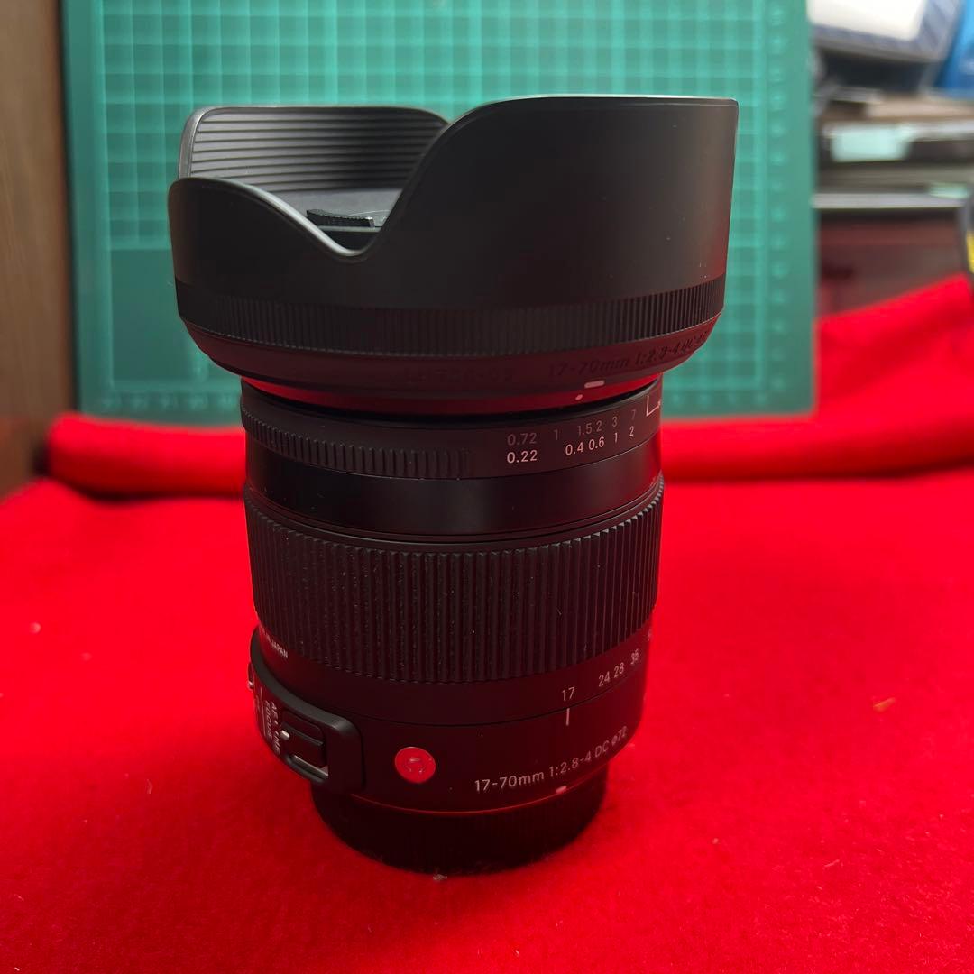 SIGMA 17-70F2.8-4DCMACRO ニコン用APS-C使用+FTZ