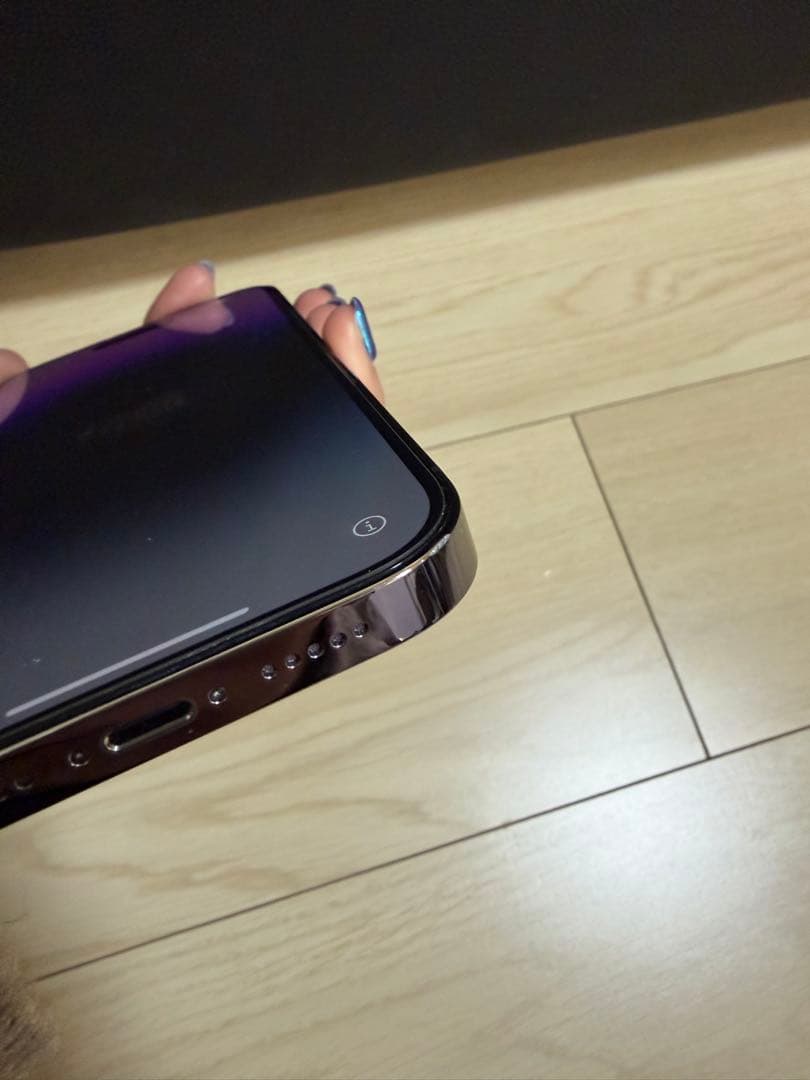 Apple iPhone 14 Pro 256GB パープル　本体SIMフリー