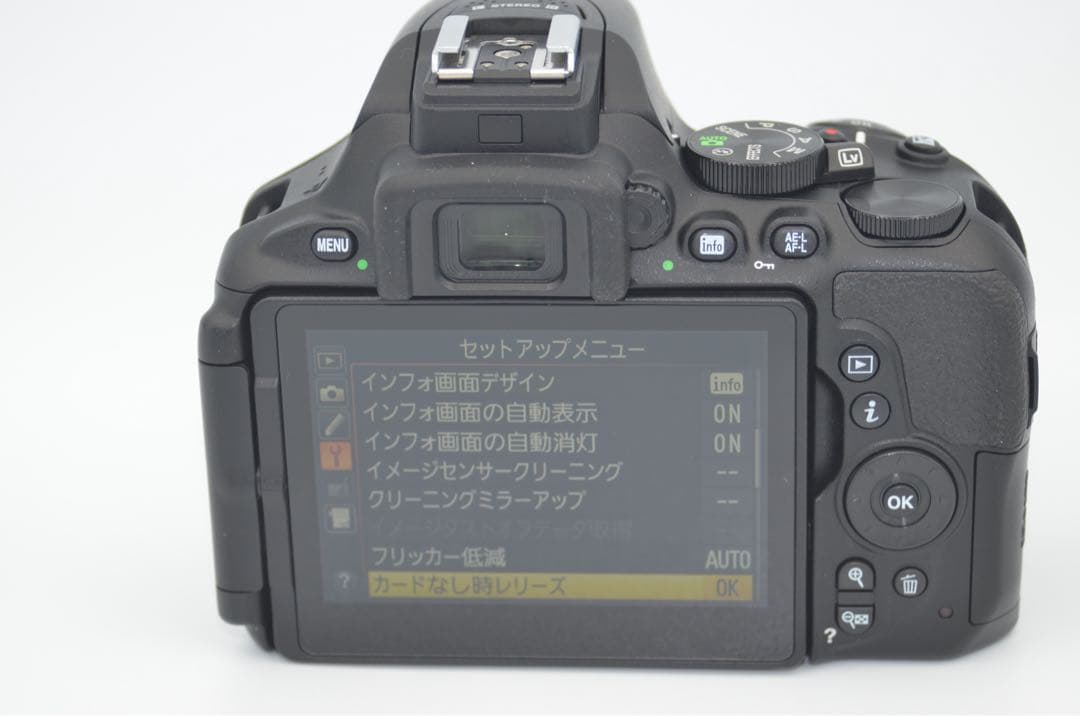 Nikon D5600 Wズームキット