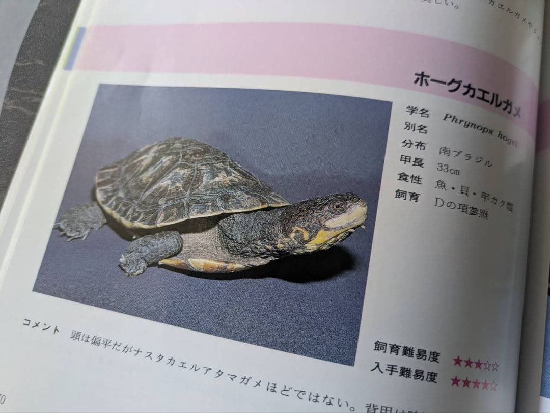 超マニアック本　世界のカメ全3冊