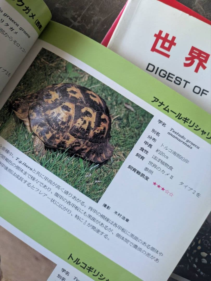 超マニアック本　世界のカメ全3冊