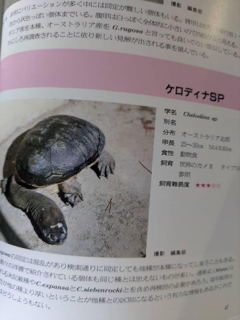 超マニアック本　世界のカメ全3冊