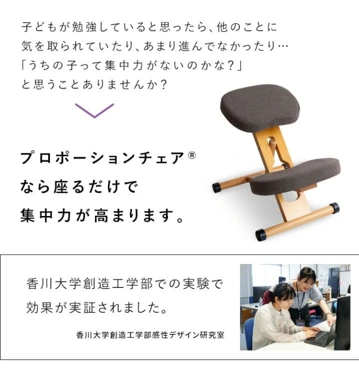 宮武製作所 姿勢がよくなる プロポーションチェア CH-N88　姿勢矯正