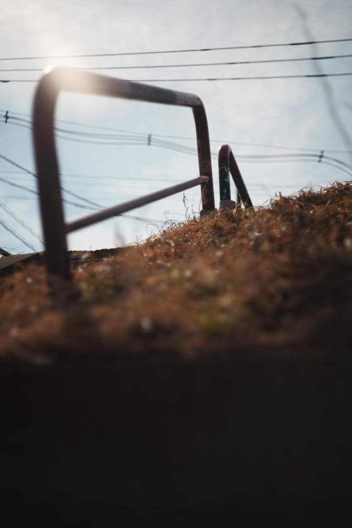 隠れバブルボケレンズ！コニカ Hexanon AR 52mm F1.8シルバー