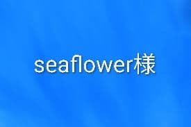 seaflower様 リクエスト 2点 まとめ商品