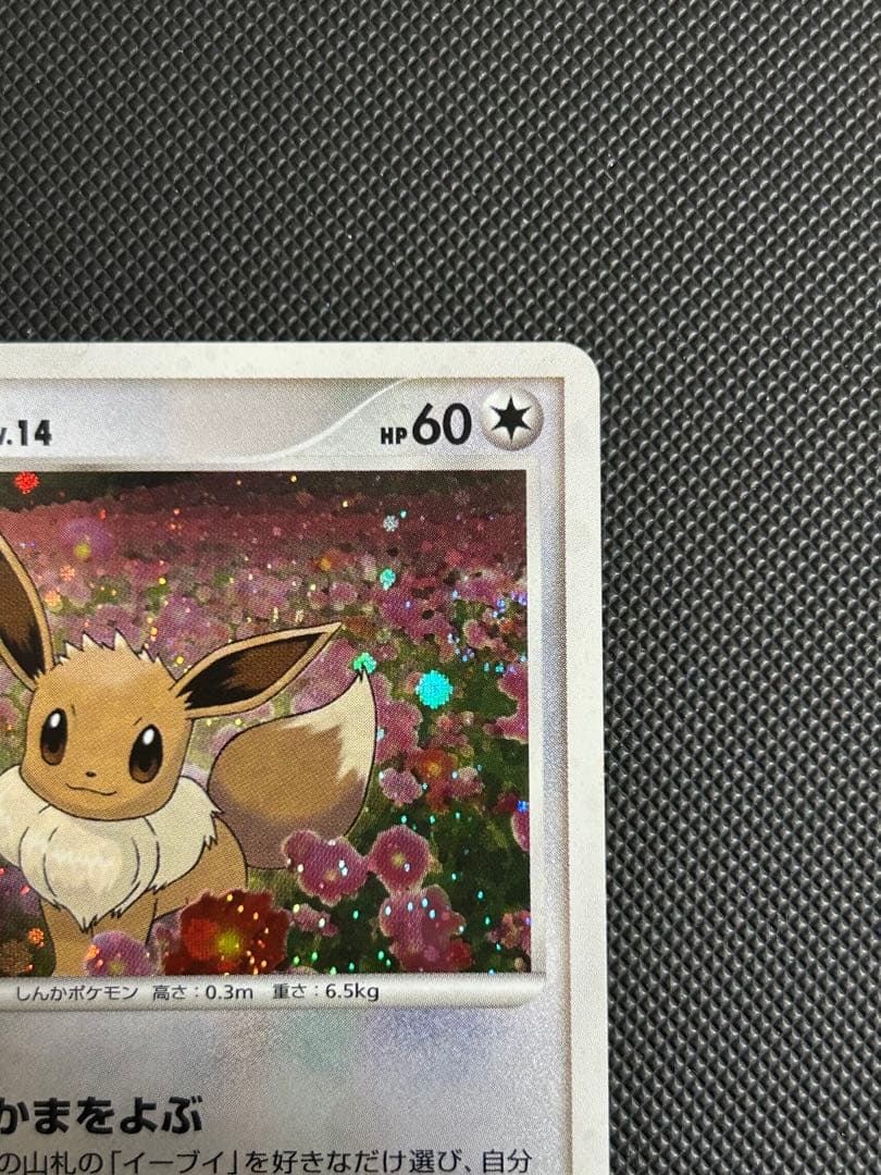 イーブイ PROMO DPプロモーションカード 063/DP-P