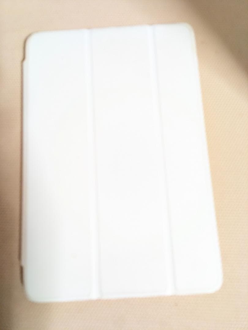 iPad mini（第5世代）256GB　ローズゴールド