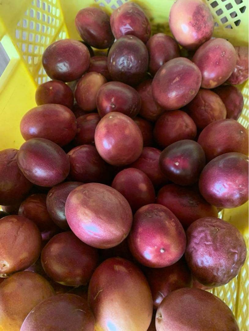 Giu プロフィール読んでね☆