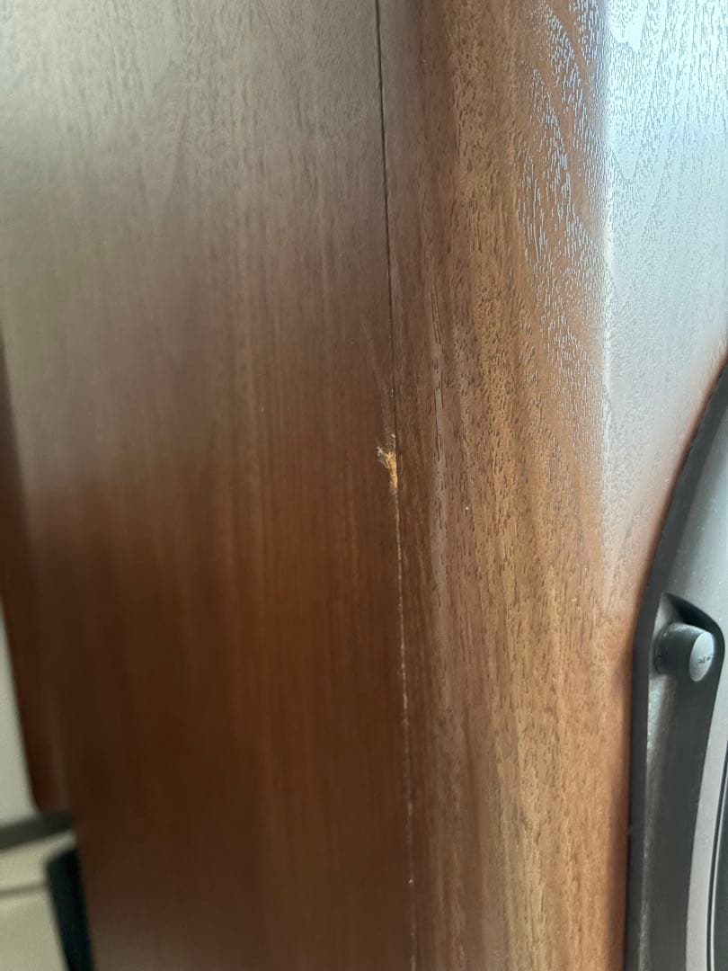 DIATONE DS-77Z スピーカー、スタンド、ベルデンケーブル付き、引取り