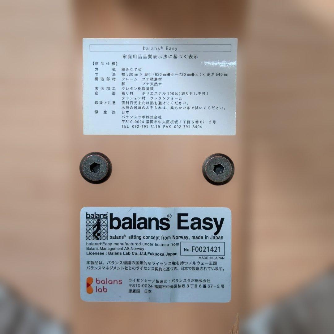 Balans®EASY バランスイージーチェア　北欧ファブリックコラボカバー付き