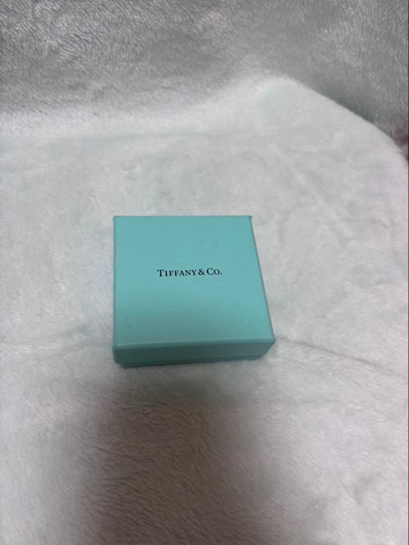 【片耳用】TIFFANY & Co.パロマ・ピカソ グラフィティ アロー ピアス