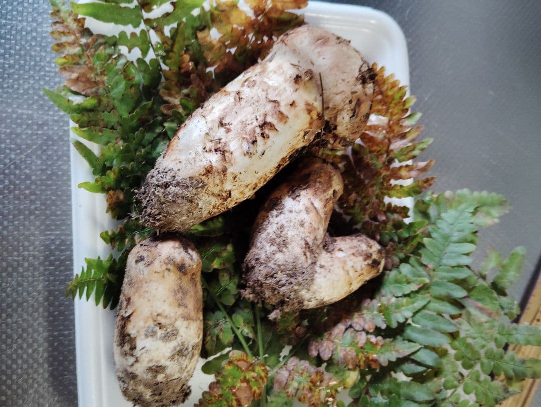 岩手県産松茸　150グラム