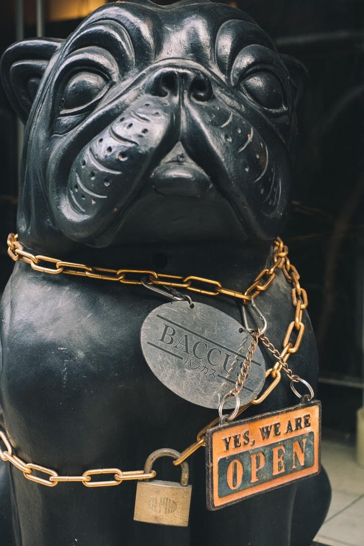 Leica bluecoted Elmar 50mm F3.5 オールドレンズ