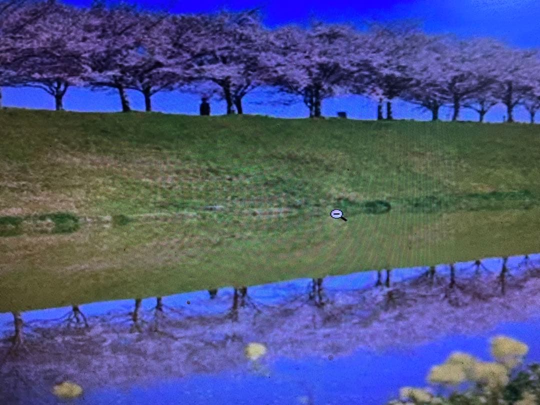 パン子9kg180束入り2個18kgお姫さまマーク手延そうめん