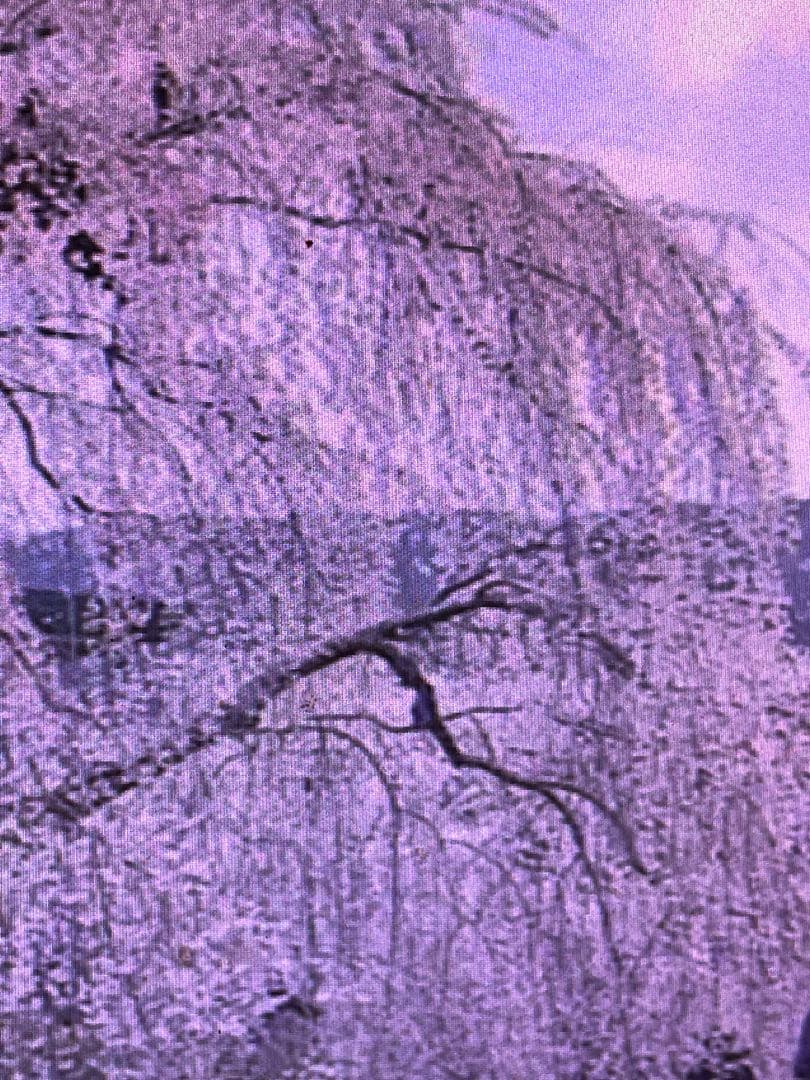 パン子9kg180束入り2個18kgお姫さまマーク手延そうめん