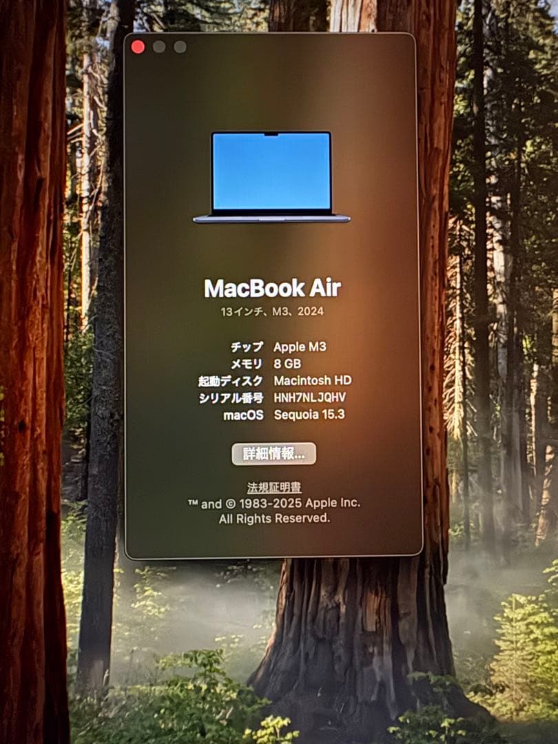 MacBook本体 MacBook Air 2024 M3 8GB 256GB