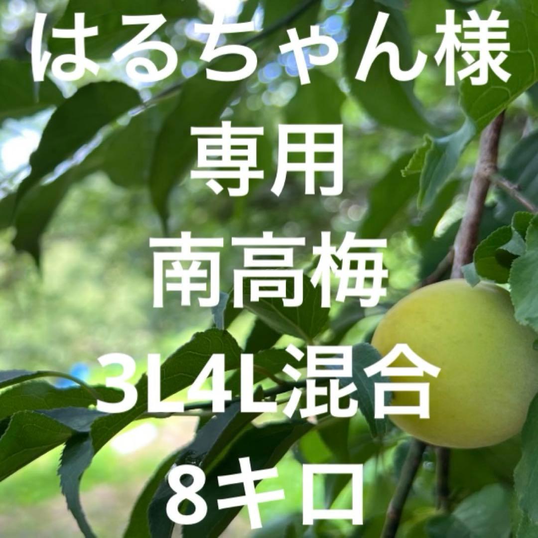 はるちゃん南高梅3L4L混合8キロ