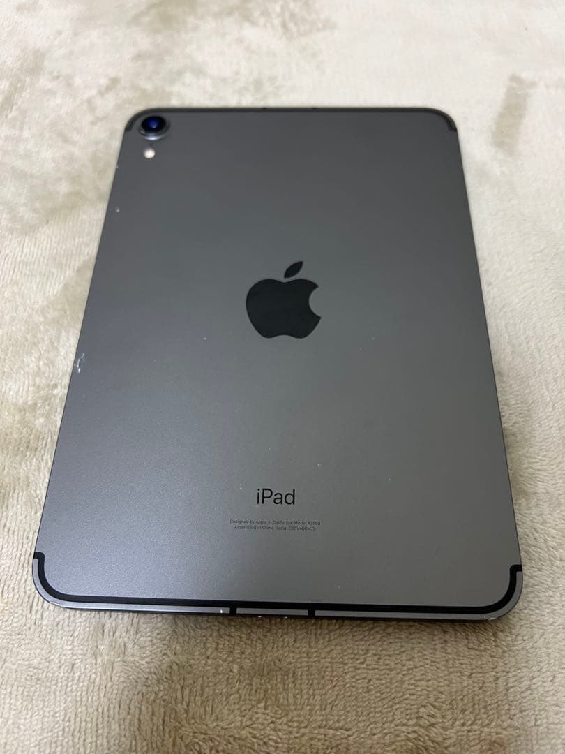 野*人様 Apple iPad mini 第6世代　64GB セルラー