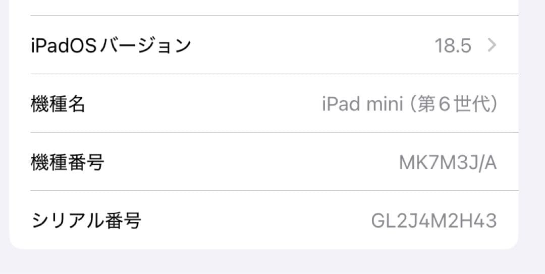 Apple iPad mini6 WIFI 64GBスペースグレー おまけ付き