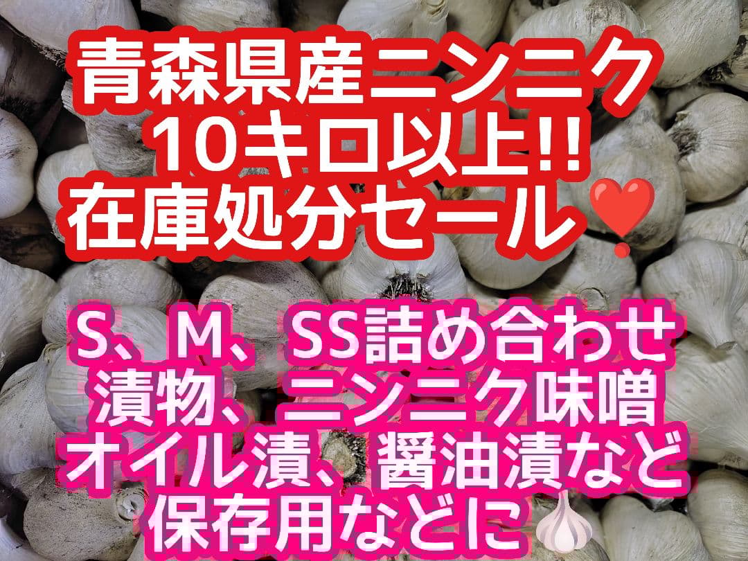 m*u様 青森県産にんにく訳あり小玉処分セール青森県産ニンニク訳あり　保存用