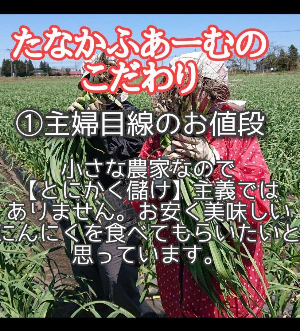 m*u様 青森県産にんにく訳あり小玉処分セール青森県産ニンニク訳あり　保存用