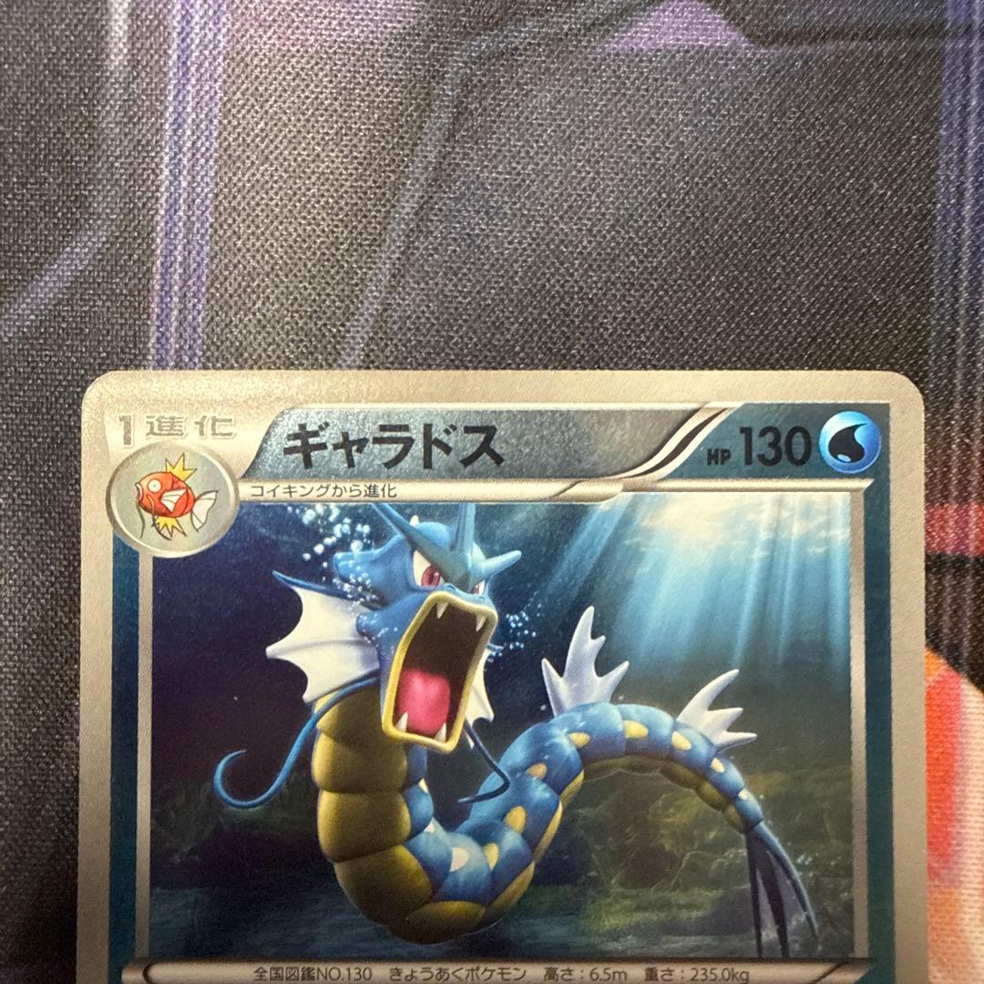 ギャラドス バンデットリング