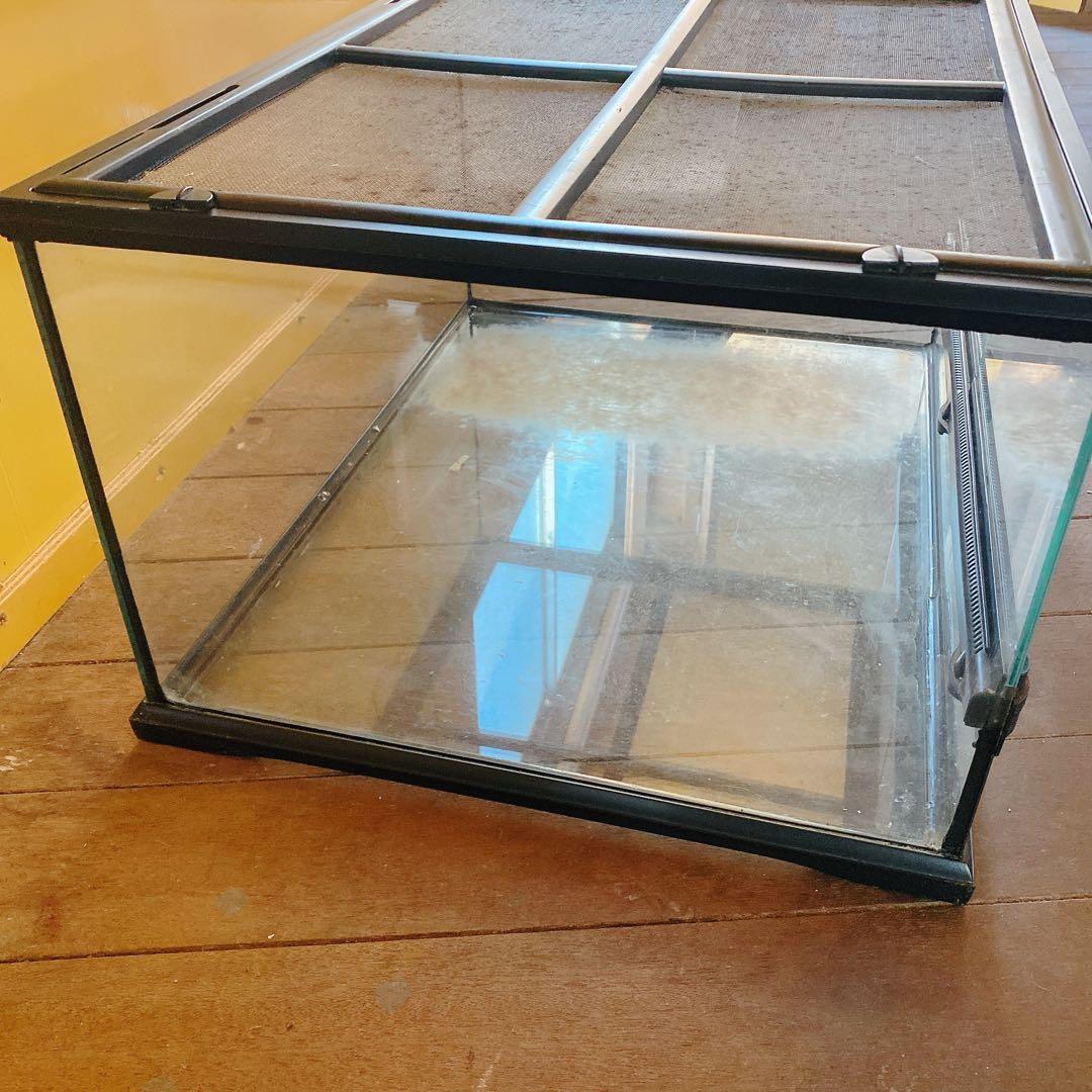 エキゾテラ　グラステラリウム　ガラスケース