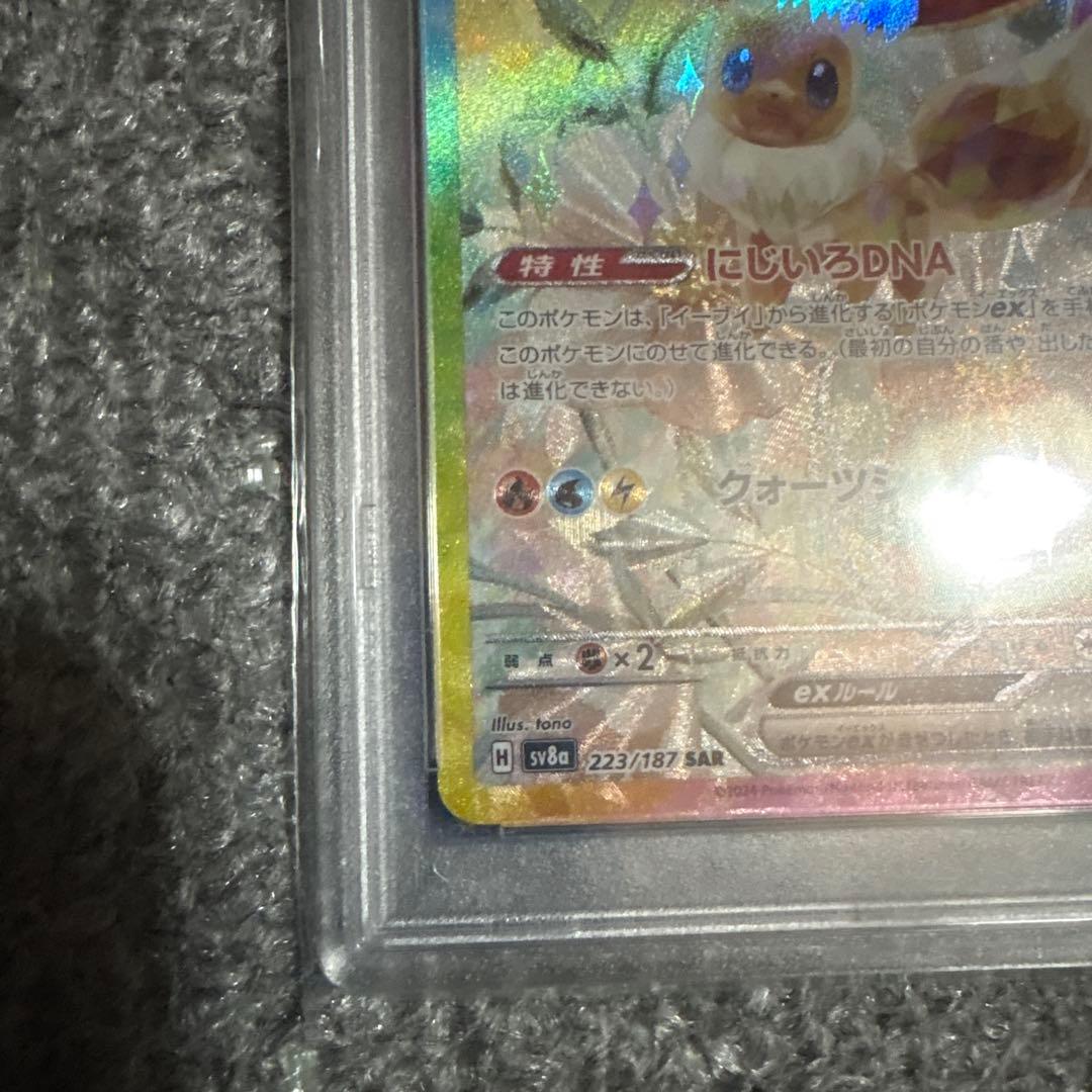 イーブイex SAR SV8a テラスタルフェスex 223/187