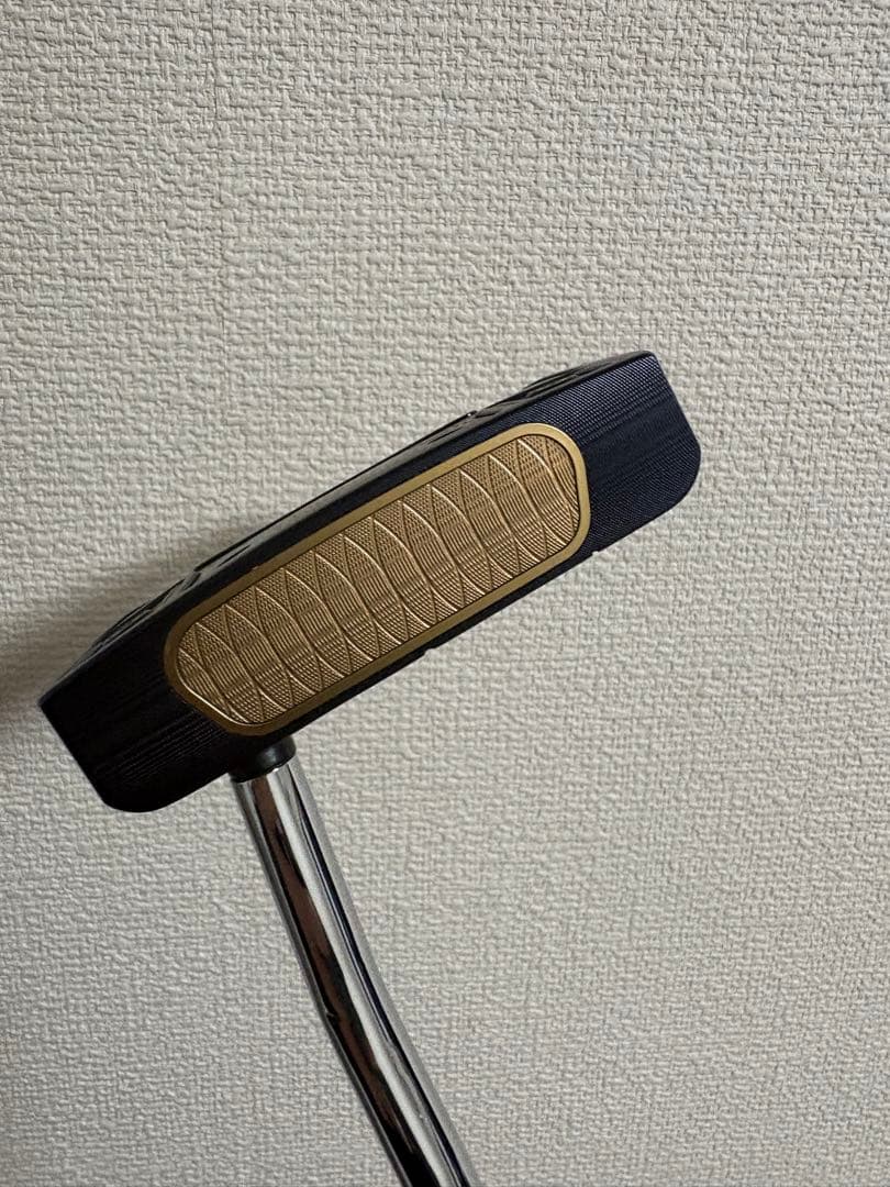 クラブ Ai-ONE MILLED JAILBIRD MINI T STROKE LAB