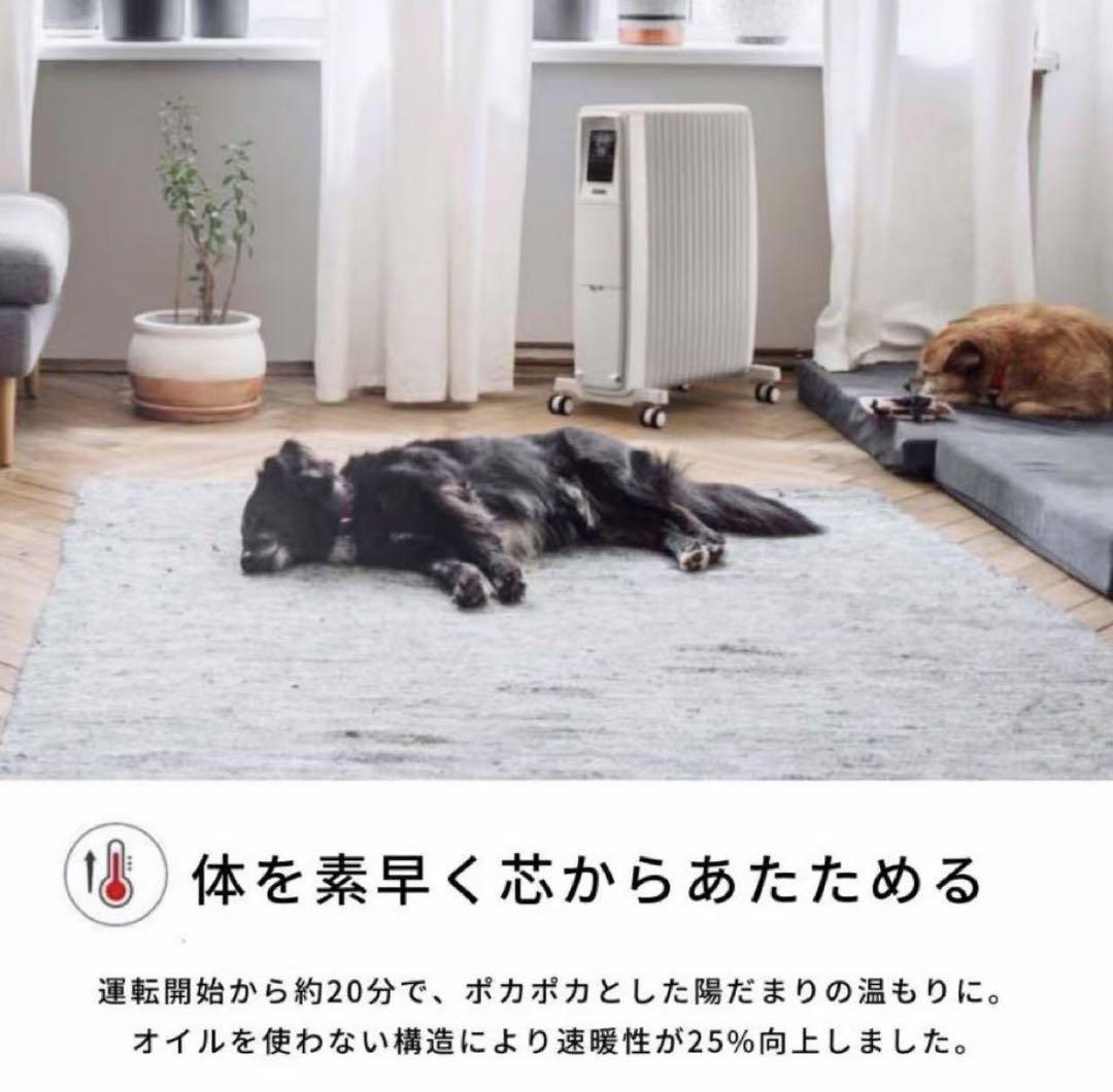 Dimplex オイルフリーヒーター B04 グレー ECR12ECSF