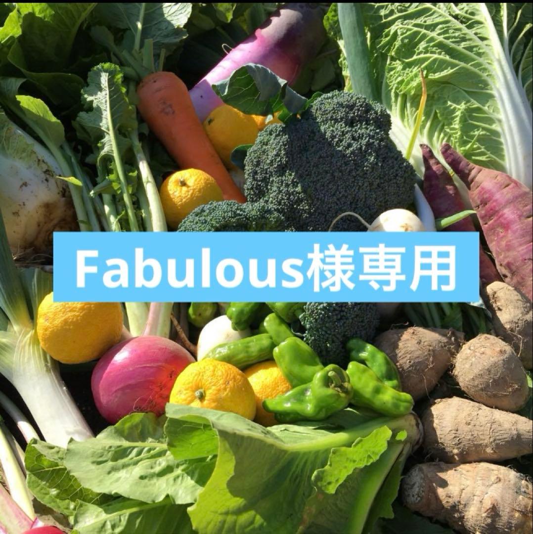 Fabulous 野菜詰め合わせ　100サイズ　✖️2箱