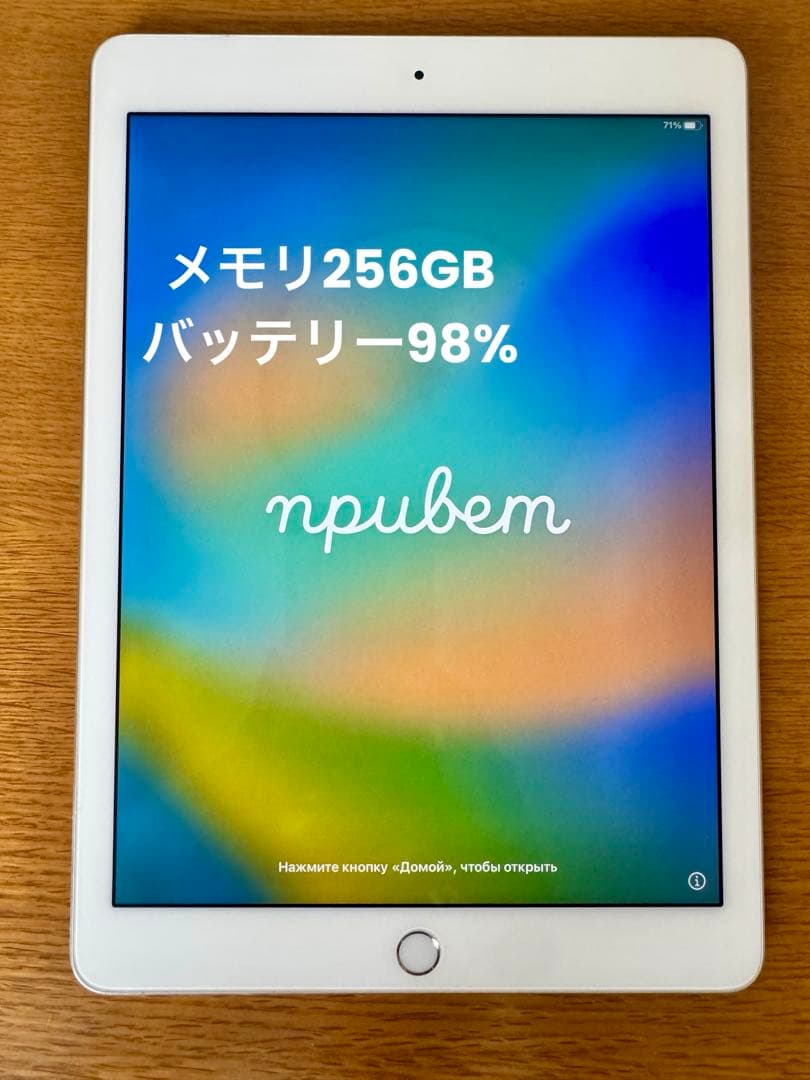 256GB iPad Pro 9.7インチA1673wi-fi バッテリー98%