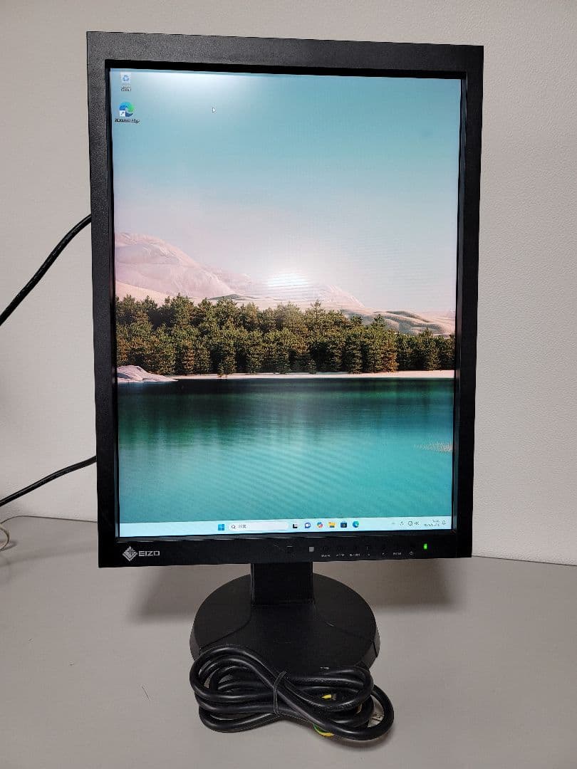 専用ページ2台セットEIZO RadiForce MX215 21.3インチ医療
