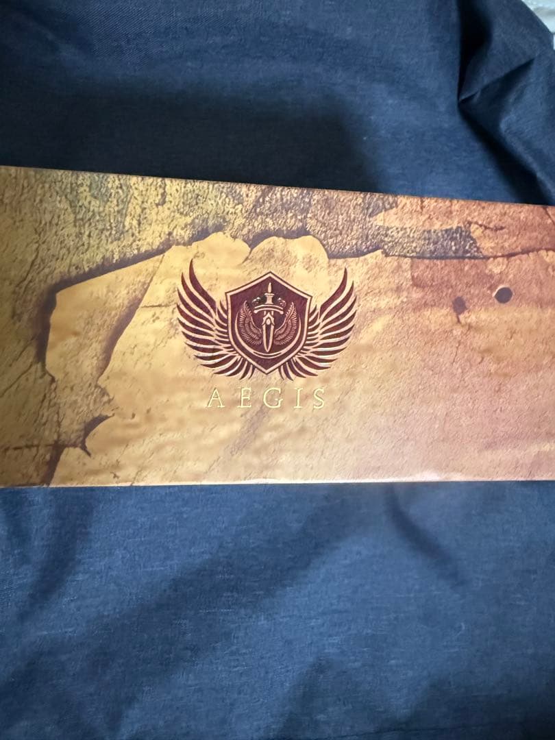 m*u様 flipsears AEGIS イヤホン