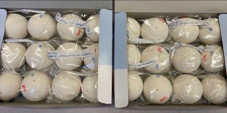 ソフトテニス ボール ケンコー&アカエム　公認球　2ダース(24球)ずつ