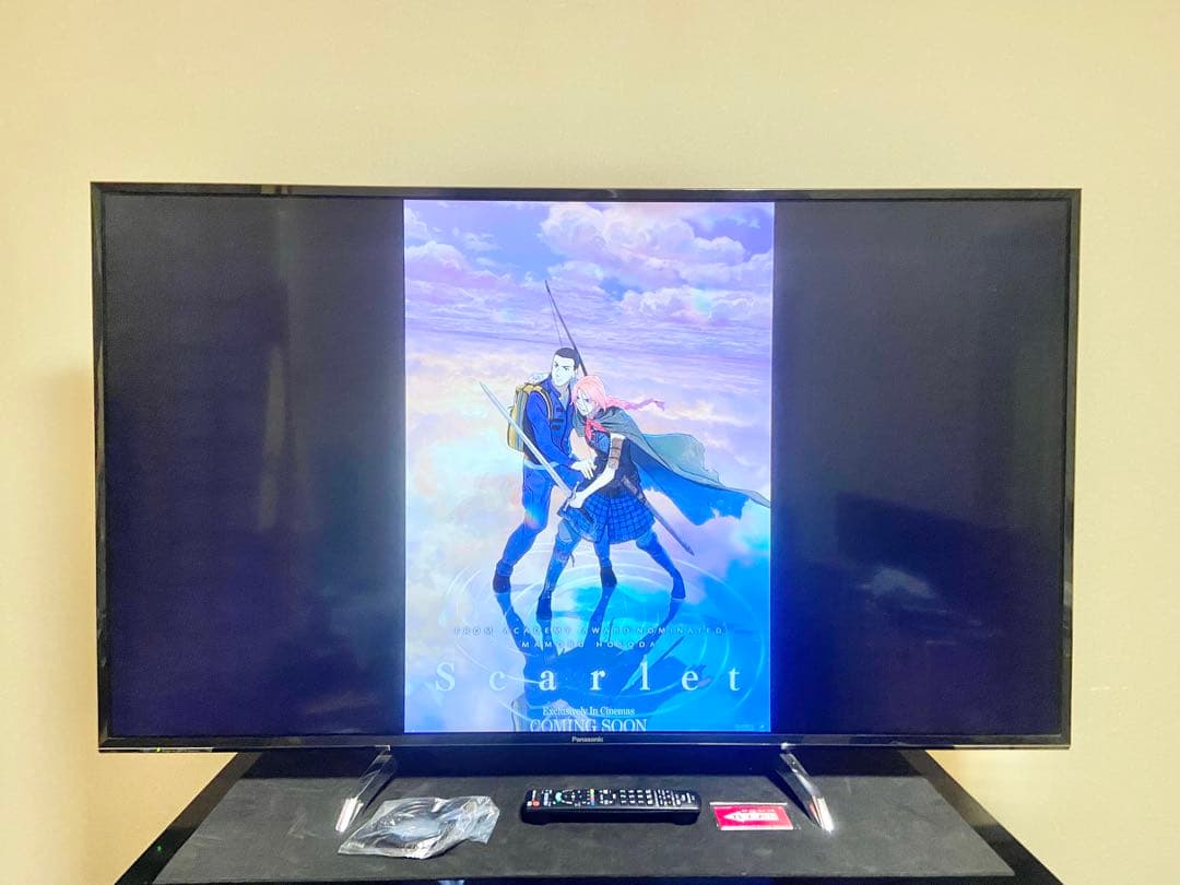 【今だけ優待価格】Panasonic VIERA 55V型4K・3チューナー