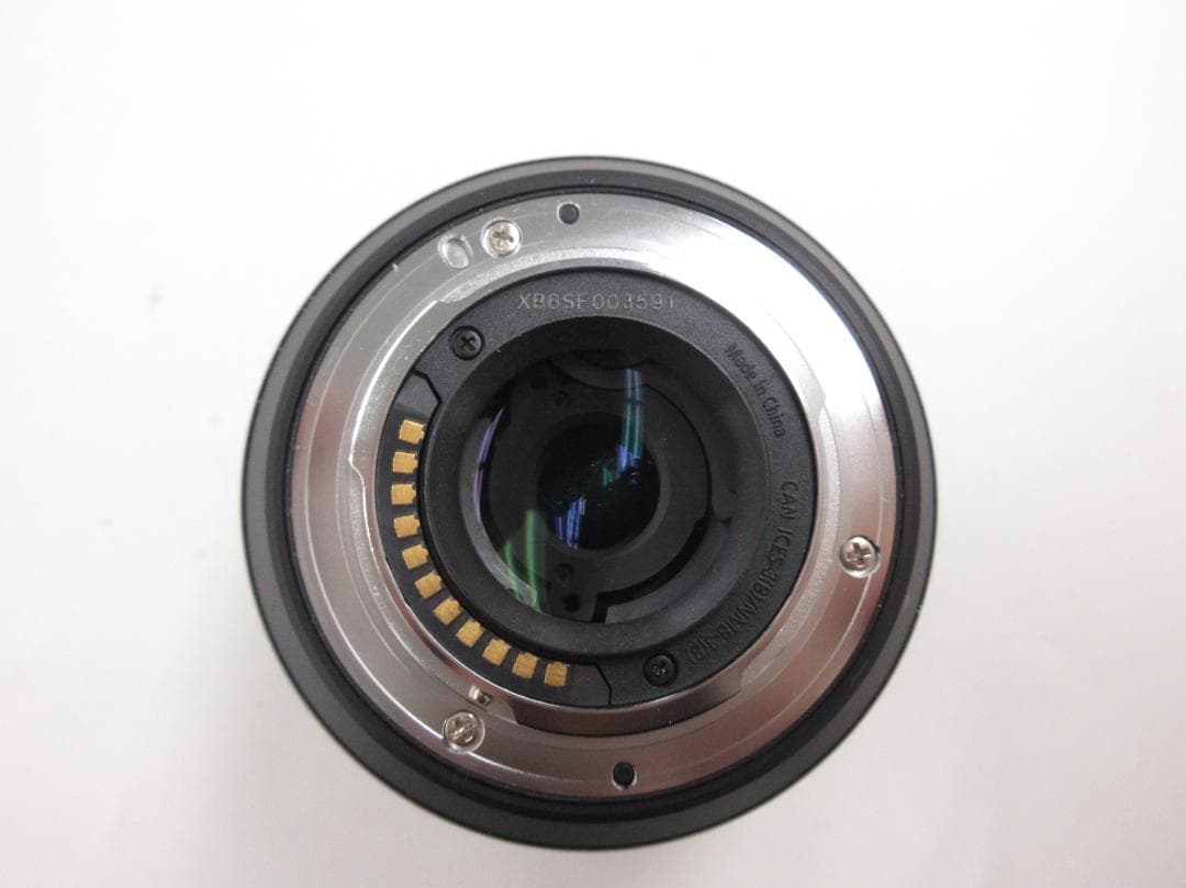 レンズ(ズーム) Panasonic LUMIX G VARIO 12-60mmH-FS12060