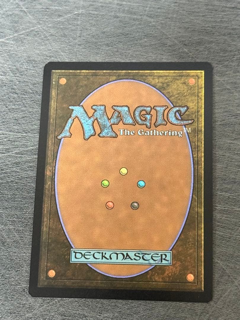 MTG　激情の後見/Fierce Guardianship　拡張　Foil