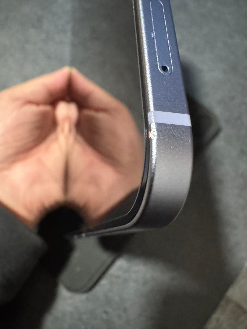 iPad mini 6 Wi-Fi + Cellularモデル 256GB 本体