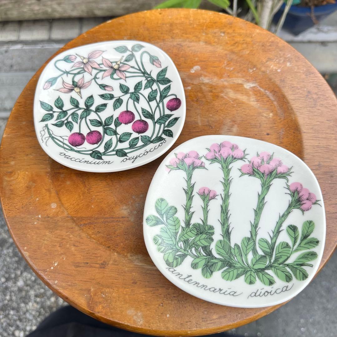 ARABIA ボタニカ エストリ トムラ プレートx2